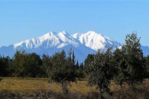 Maisons de vacances Very spacious and luxurious holiday home on quiet estate 1880 with pool : photos des chambres