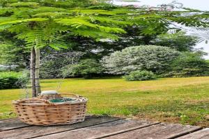 Maisons de vacances Holiday Home in Haute-Vienne near Nature Park, cleaning included : photos des chambres