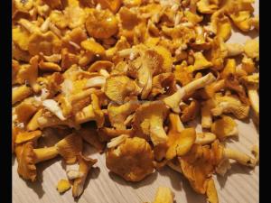 Maisons de vacances Maison lumineuse avec jardin, garage, jeux exterieurs, animaux acceptes - FR-1-496-291 : photos des chambres