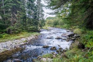 Les Domes de la Riviere Alick A - SPA & River