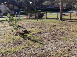 Maison Landaise avec Jardin, 4 Ch, Proche Plages et Golf à Seignosse - FR-1-239-600