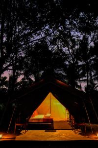 Mango Safari Camping Udawalawe