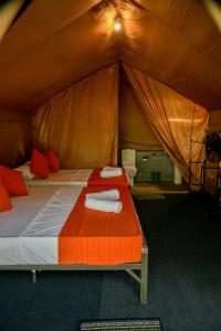 Mango Safari Camping Udawalawe