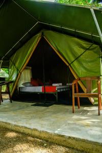 Mango Safari Camping Udawalawe