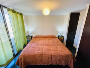 Depto en Zona Céntrica de Santiago de Chile