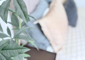 Casa completa, Hosp Angeles, Tec Mty y Facturamos