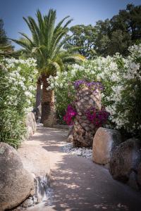 Hotels Golfe Hotel & Spa Porto-Vecchio : photos des chambres
