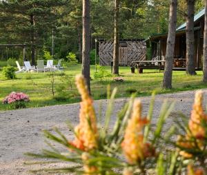 Holiday Home Atmatas