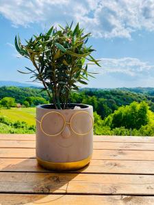 Relaxing Tiny House with a beautiful view over the hills in Zagorje