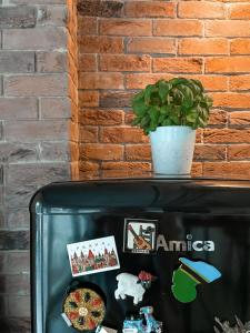 Rustikal Apartment with Garden and Free Parking