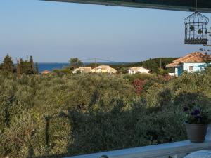 Areti Orfeas Studios Zakynthos Greece