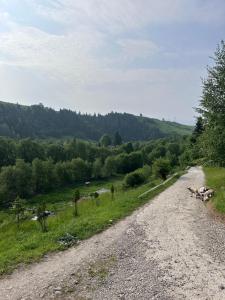 Карпатська Криївка