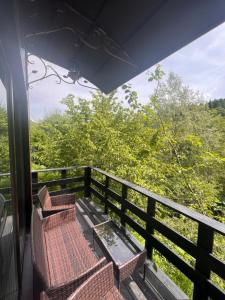 Гармонія біля річки