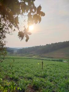 Jacobs Homestay