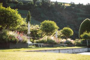 Apartment Egghof im Weingut