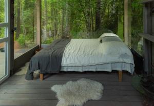 CLOUDS AND CLAY Ligatne