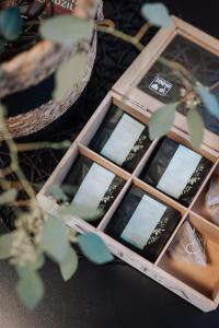 Brīvdienu māja Sniegi