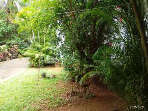 Private Guest Room 3 Bunks & Bath Rathanapitiya