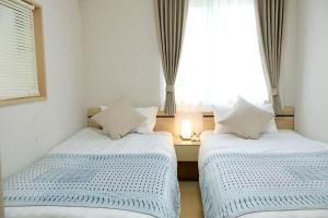 ueno,asakusa,akihabara,ginza area!hibiya line minowa wlak for 8 min ,5ldk for 9 people