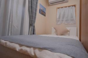 ueno,asakusa,akihabara,ginza area!hibiya line minowa wlak for 8 min ,5ldk for 9 people