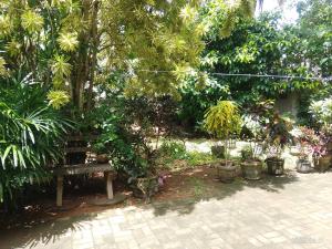 Private Guest Room 3 Bunks & Bath Rathanapitiya