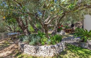 Cozy Apartment In Makarska With Wifi