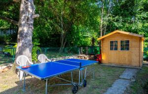 One Bedroom Beautiful Home In Omisalj