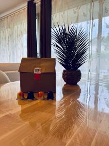 Appartements Refuge moderne a Quimper avec lit King Size : photos des chambres