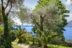 Villa Andy-Appartamento con vista lago