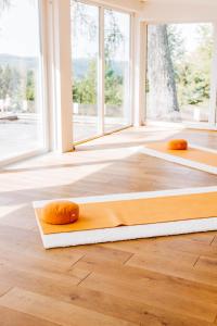 Berghotel Hoher Knochen - Ruhe & Natur