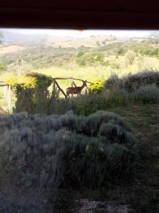 Casale Poggio Rocco