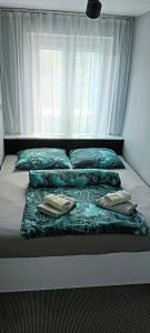 APARTAMENT CHEŁMSKO - rowery gratis