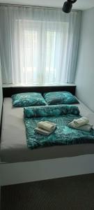 APARTAMENT CHEŁMSKO - rowery gratis