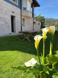 Apartamentos Cangas Relax