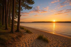Le cosy bisca-Parking-terasse-Lac-Océan