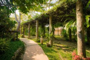 Leafy Greens Chiangmai