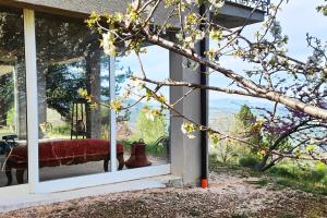La Terrazza dei Monti Azzurri