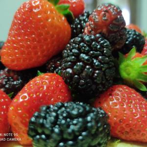 Agriturismo Chiusulelle