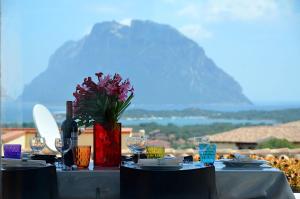 Villa syloic