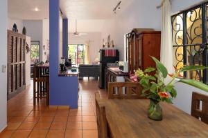 Casa Tortuga 2BR 1BA private pool and garden parking New Listing