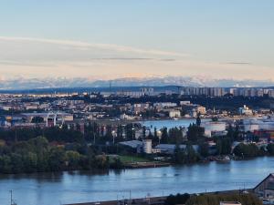 T4/5 avec vue sur les Alpes à 5 minutes de Lyon