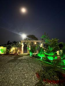 PRITHVI FOREST HOMESTAY