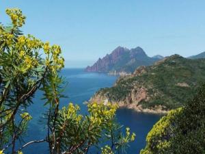 Maisons de vacances Cosy Holiday Home in Cargese Corse-du-Sud near Sea : photos des chambres