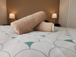 Appartement Biscarrosse - Centre-ville, terrasse, au calme - agréable, tout confort - 4pers