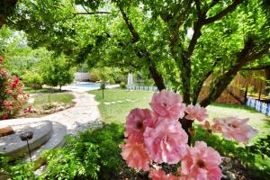 Jasmine Villa Kaya Köy