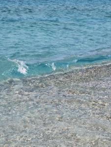 cosy flat, 150m to the sea