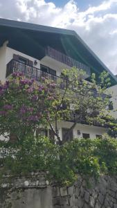 La Casa dei Cervi a Vinigo