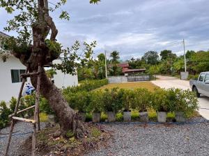 Phuwara poolvilla ภูวรา พูลวิลล่า