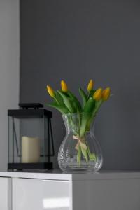 Paraiso Nadmorskie Apartamenty z Basenem i Parkingiem by Noclegi Renters