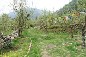 Le Massif by Valley Of Apples